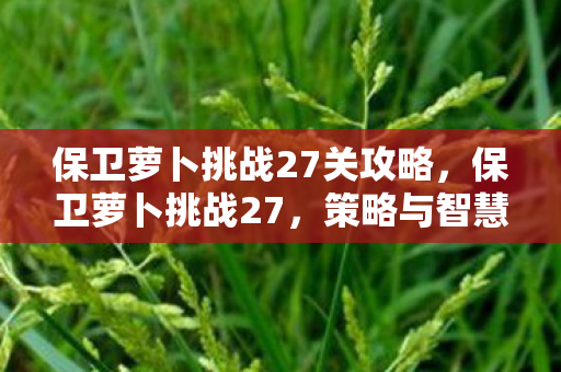 保卫萝卜挑战27关攻略,保卫萝卜挑战27,策略与智慧的双重考验 保卫萝卜挑战27关攻略,保卫萝卜挑战27,策略与智慧的双重考验
