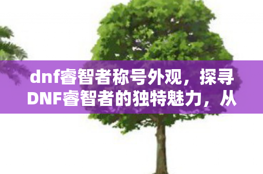dnf睿智者称号外观，探寻DNF睿智者的独特魅力，从游戏设计到玩家体验的深度剖析