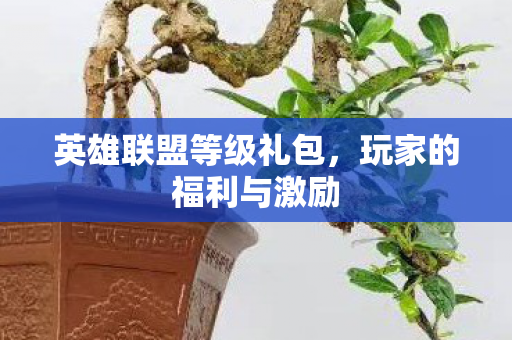 英雄联盟等级礼包,玩家的福利与激励 英雄联盟等级礼包,玩家的福利与激励