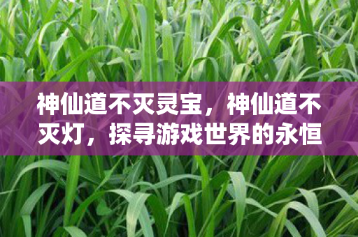 神仙道不灭灵宝,神仙道不灭灯,探寻游戏世界的永恒光芒 神仙道不灭灵宝,神仙道不灭灯,探寻游戏世界的永恒光芒