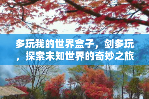 多玩我的世界盒子,剑多玩,探索未知世界的奇妙之旅 多玩我的世界盒子,剑多玩,探索未知世界的奇妙之旅