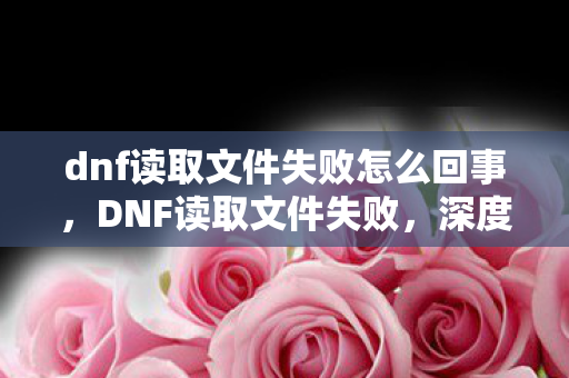 dnf读取文件失败怎么回事,DNF读取文件失败,深度解析与解决方案 dnf读取文件失败怎么回事,DNF读取文件失败,深度解析与解决方案