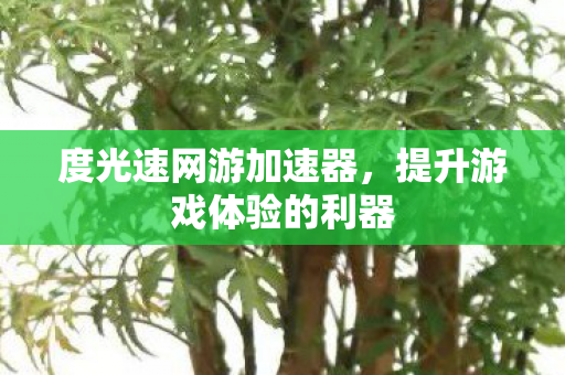 度光速网游加速器，提升游戏体验的利器