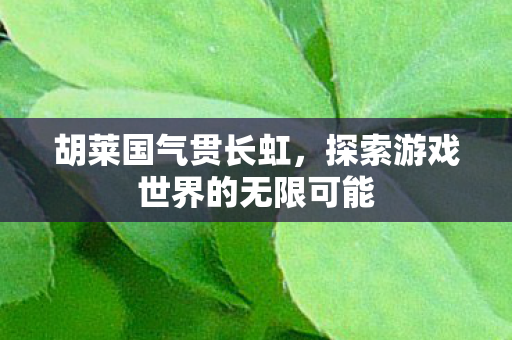 胡莱国气贯长虹,探索游戏世界的无限可能 胡莱国气贯长虹,探索游戏世界的无限可能