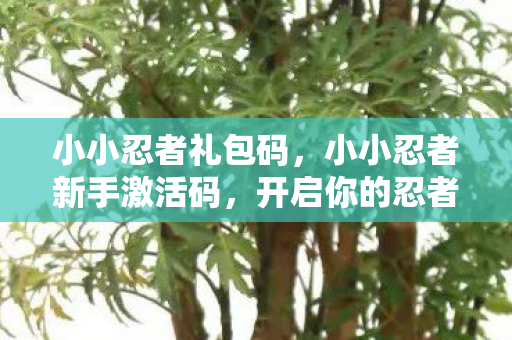 小小忍者礼包码,小小忍者新手激活码,开启你的忍者之旅 小小忍者礼包码,小小忍者新手激活码,开启你的忍者之旅