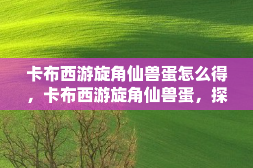 卡布西游旋角仙兽蛋怎么得,卡布西游旋角仙兽蛋,探索神秘世界的奇妙之旅 卡布西游旋角仙兽蛋怎么得,卡布西游旋角仙兽蛋,探索神秘世界的奇妙之旅