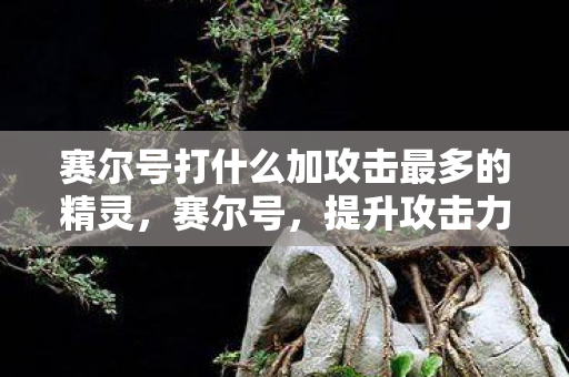 赛尔号打什么加攻击最多的精灵,赛尔号,提升攻击力的最佳策略 赛尔号打什么加攻击最多的精灵,赛尔号,提升攻击力的最佳策略