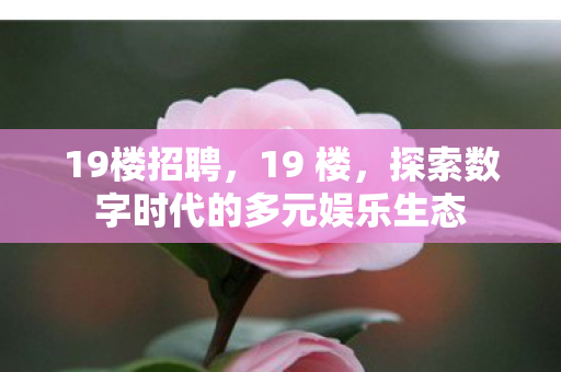 19楼招聘，19 楼，探索数字时代的多元娱乐生态