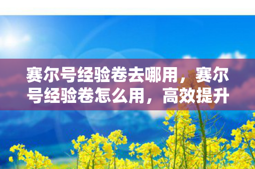 赛尔号经验卷去哪用,赛尔号经验卷怎么用,高效提升精灵等级的策略指南 赛尔号经验卷去哪用,赛尔号经验卷怎么用,高效提升精灵等级的策略指南