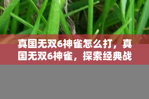 真国无双6神雀怎么打,真国无双6神雀,探索经典战棋的无限可能 真国无双6神雀怎么打,真国无双6神雀,探索经典战棋的无限可能