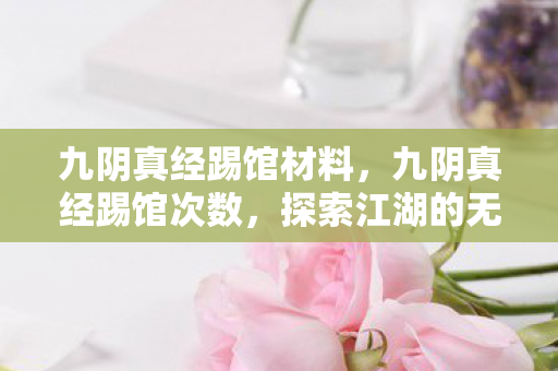 九阴真经踢馆材料,九阴真经踢馆次数,探索江湖的无限可能 九阴真经踢馆材料,九阴真经踢馆次数,探索江湖的无限可能
