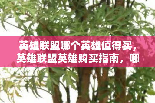 英雄联盟哪个英雄值得买,英雄联盟英雄购买指南,哪些英雄值得入手? 英雄联盟哪个英雄值得买,英雄联盟英雄购买指南,哪些英雄值得入手?