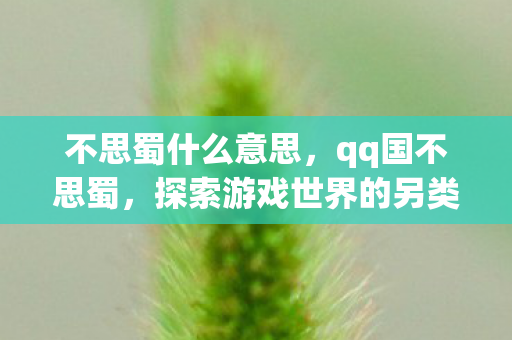 不思蜀什么意思,qq国不思蜀,探索游戏世界的另类乐趣 不思蜀什么意思,qq国不思蜀,探索游戏世界的另类乐趣