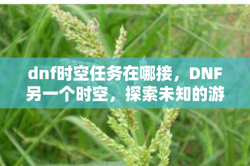 dnf时空任务在哪接，DNF另一个时空，探索未知的游戏世界与无限可能