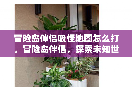 冒险岛伴侣吸怪地图怎么打，冒险岛伴侣，探索未知世界的神秘地图
