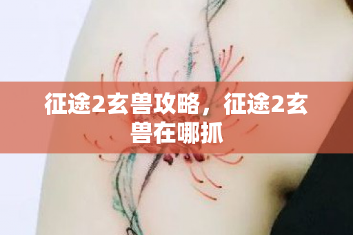 征途2玄兽攻略，征途2玄兽在哪抓