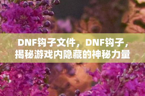 DNF钩子文件,DNF钩子,揭秘游戏内隐藏的神秘力量 DNF钩子文件,DNF钩子,揭秘游戏内隐藏的神秘力量