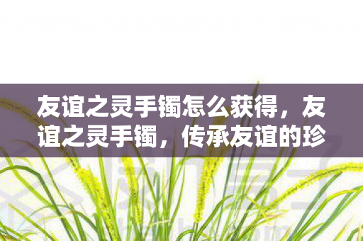 友谊之灵手镯怎么获得,友谊之灵手镯,传承友谊的珍贵信物 友谊之灵手镯怎么获得,友谊之灵手镯,传承友谊的珍贵信物