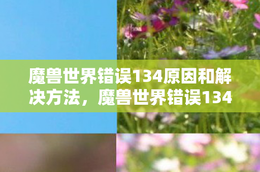 魔兽世界错误134原因和解决方法,魔兽世界错误134,深度解析与解决方案 魔兽世界错误134原因和解决方法,魔兽世界错误134,深度解析与解决方案