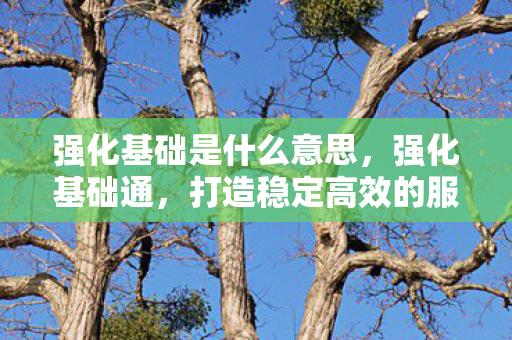 强化基础是什么意思,强化基础通,打造稳定高效的服务器环境 强化基础是什么意思,强化基础通,打造稳定高效的服务器环境
