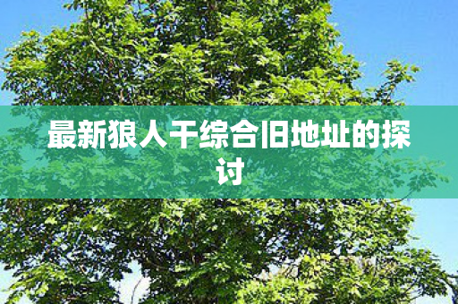 最新狼人干综合旧地址的探讨 最新狼人干综合旧地址的探讨