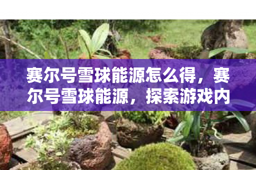 赛尔号雪球能源怎么得,赛尔号雪球能源,探索游戏内独特资源,揭秘其珍贵价值 赛尔号雪球能源怎么得,赛尔号雪球能源,探索游戏内独特资源,揭秘其珍贵价值