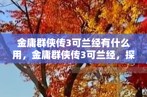 金庸群侠传3可兰经有什么用，金庸群侠传3可兰经，探索武侠世界的奇幻之旅