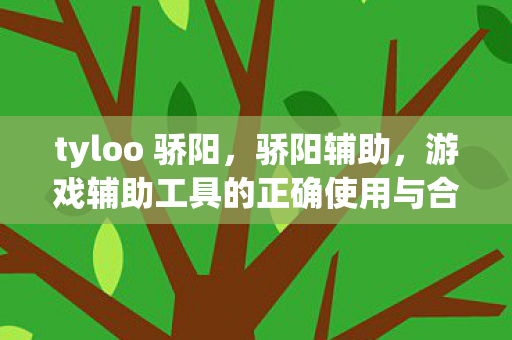 tyloo 骄阳，骄阳辅助，游戏辅助工具的正确使用与合规性探讨