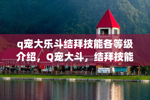 q宠大乐斗结拜技能各等级介绍，Q宠大斗，结拜技能的奥秘与实战应用