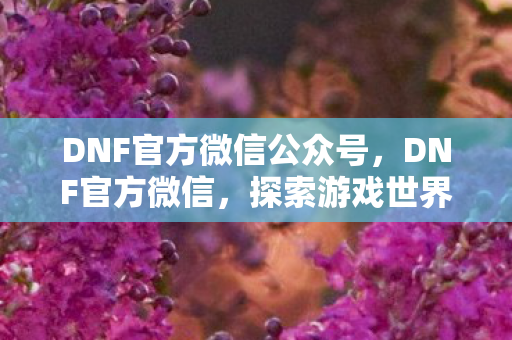 DNF官方微信公众号，DNF官方微信，探索游戏世界的无限可能