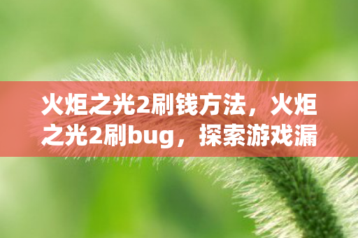 火炬之光2刷钱方法,火炬之光2刷bug,探索游戏漏洞的乐趣与风险 火炬之光2刷钱方法,火炬之光2刷bug,探索游戏漏洞的乐趣与风险