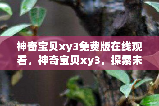 神奇宝贝xy3免费版在线观看,神奇宝贝xy3,探索未知世界的奇妙旅程 神奇宝贝xy3免费版在线观看,神奇宝贝xy3,探索未知世界的奇妙旅程
