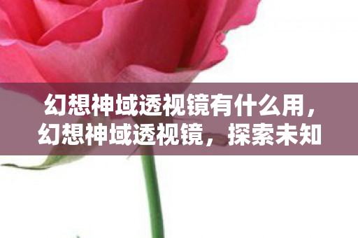 幻想神域透视镜有什么用,幻想神域透视镜,探索未知世界的神秘工具 幻想神域透视镜有什么用,幻想神域透视镜,探索未知世界的神秘工具