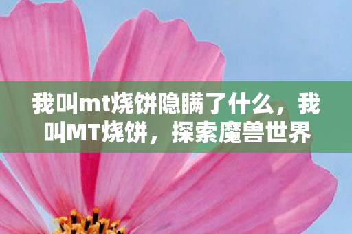 我叫mt烧饼隐瞒了什么，我叫MT烧饼，探索魔兽世界的另一种可能