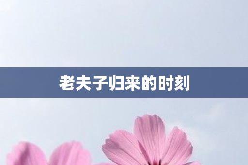 老夫子归来的时刻 老夫子归来的时刻