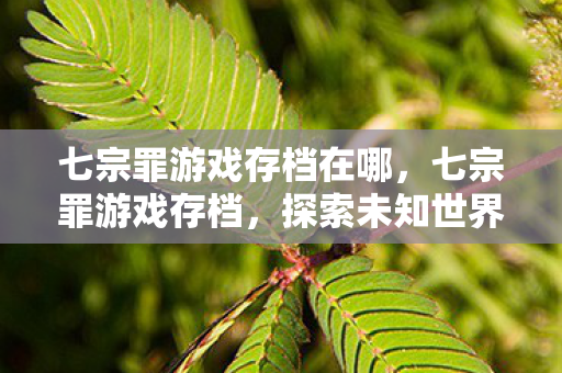 七宗罪游戏存档在哪，七宗罪游戏存档，探索未知世界的珍贵记录