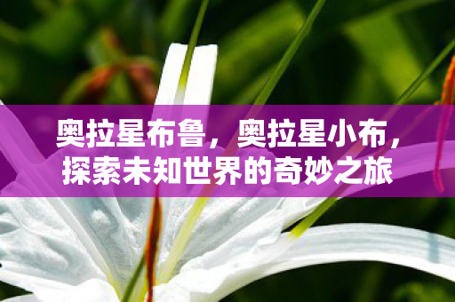 奥拉星布鲁,奥拉星小布,探索未知世界的奇妙之旅 奥拉星布鲁,奥拉星小布,探索未知世界的奇妙之旅