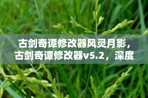 古剑奇谭修改器风灵月影,古剑奇谭修改器v5.2,深度解析与玩家体验分享 古剑奇谭修改器风灵月影,古剑奇谭修改器v5.2,深度解析与玩家体验分享
