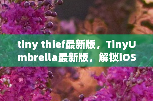 tiny thief最新版,TinyUmbrella最新版,解锁iOS设备的强大工具 tiny thief最新版,TinyUmbrella最新版,解锁iOS设备的强大工具