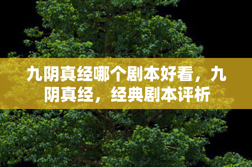 九阴真经哪个剧本好看，九阴真经，经典剧本评析
