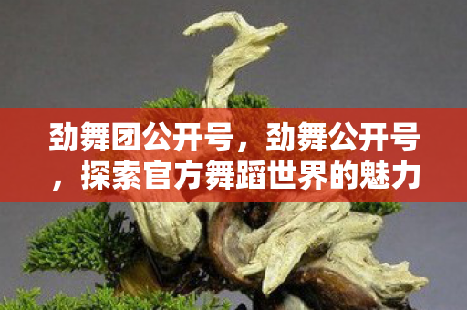 劲舞团公开号,劲舞公开号,探索官方舞蹈世界的魅力 劲舞团公开号,劲舞公开号,探索官方舞蹈世界的魅力