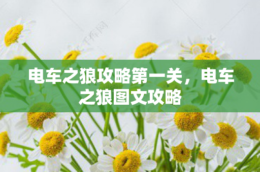 电车之狼攻略第一关,电车之狼图文攻略 电车之狼攻略第一关,电车之狼图文攻略
