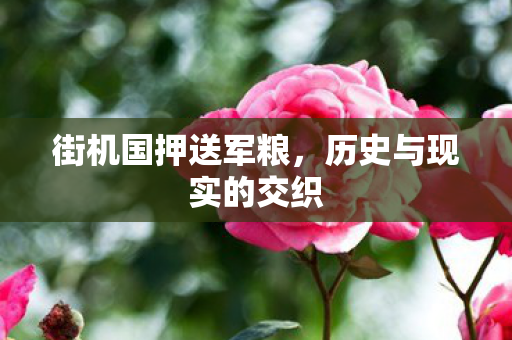 街机国押送军粮,历史与现实的交织 街机国押送军粮,历史与现实的交织