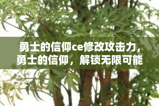 勇士的信仰ce修改攻击力,勇士的信仰,解锁无限可能的战斗力量 勇士的信仰ce修改攻击力,勇士的信仰,解锁无限可能的战斗力量
