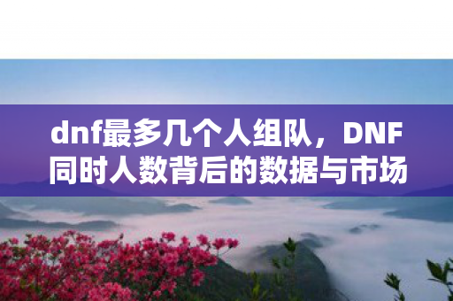 dnf最多几个人组队，DNF同时人数背后的数据与市场分析