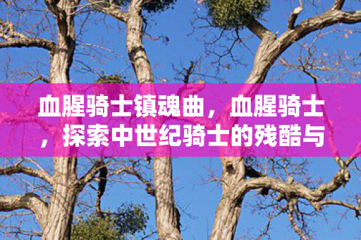血腥骑士镇魂曲,血腥骑士,探索中世纪骑士的残酷与荣耀 血腥骑士镇魂曲,血腥骑士,探索中世纪骑士的残酷与荣耀
