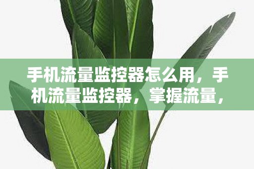手机流量监控器怎么用,手机流量监控器,掌握流量,优化生活 手机流量监控器怎么用,手机流量监控器,掌握流量,优化生活