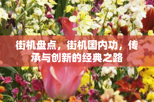 街机盘点,街机国内功,传承与创新的经典之路 街机盘点,街机国内功,传承与创新的经典之路