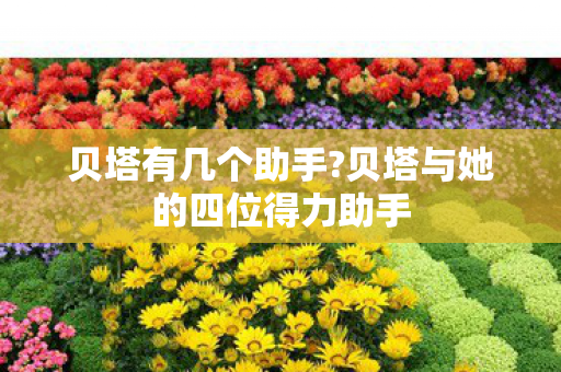 贝塔有几个助手?贝塔与她的四位得力助手 贝塔有几个助手?贝塔与她的四位得力助手