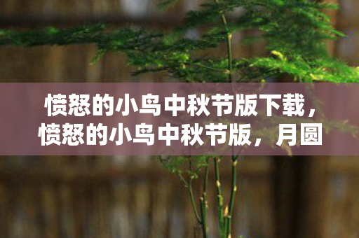 愤怒的小鸟中秋节版下载,愤怒的小鸟中秋节版,月圆之夜,小鸟再掀热潮 愤怒的小鸟中秋节版下载,愤怒的小鸟中秋节版,月圆之夜,小鸟再掀热潮